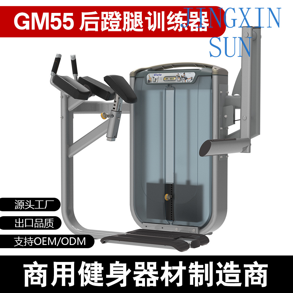 Commerciële staande rugduw- en - Home Gym Leg Extension Machine recensie en prijs