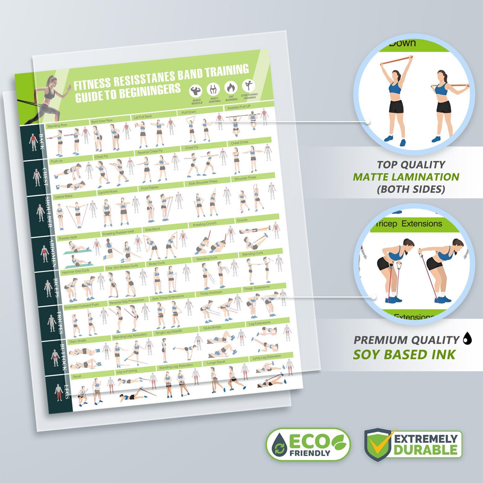 Workoutposters met weerstandsb - Home Gym Guide recensie en prijs