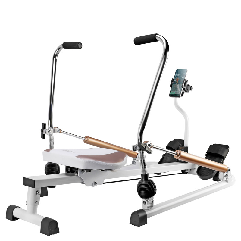 Stilte, soepele magnetische ro - Home Gym In Apartment recensie en prijs