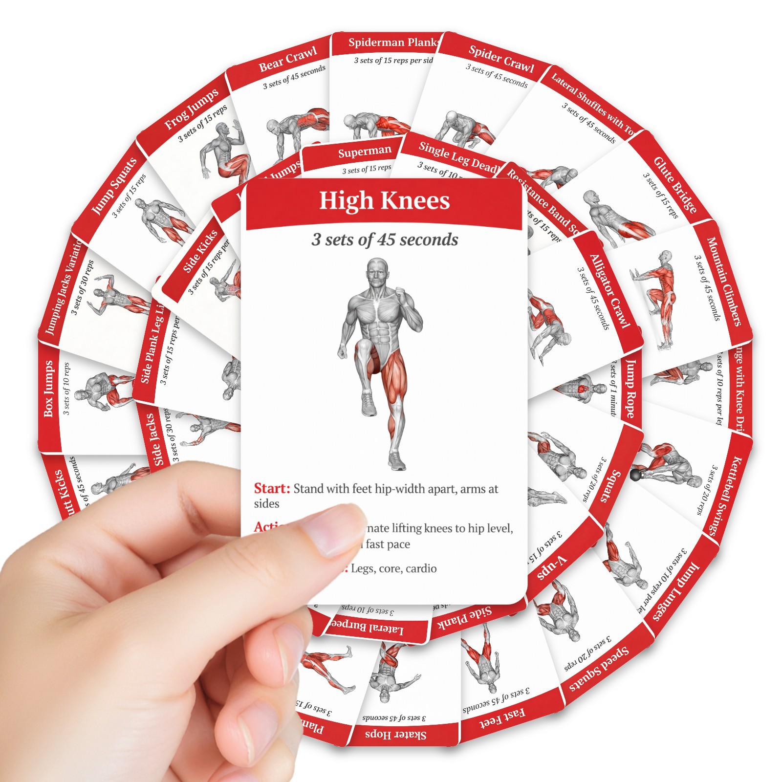 36 stuks volledige lichaamsvet - Home Gym Guide recensie en prijs